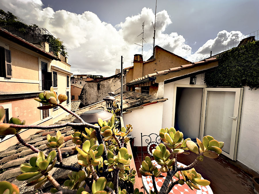 Terrace_01